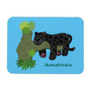 Search for black panther magnets Jaguar