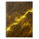 Search for concepts notebooks Brown