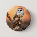 Search for barn owl badges Wild