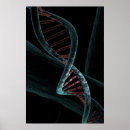 Search for genetic code Medicine