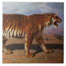 Search for tiger face tiles Predator