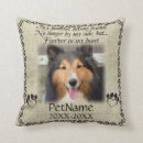 Search for rainbow bridge poem pets For pets