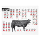 Search for meat cuts posters Beef