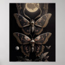 Search for moth posters Full moon