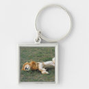 Search for stretching key rings Wildlife