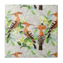 Search for exotic tiles Parrot