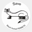 Search for ferret stickers Wildlife