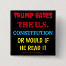 Search for constitution badges Fascism