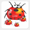 Search for lady bug square stickers For kids