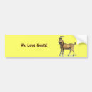 Search for goats bumper stickers Animal