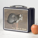 Search for tabby cat food storage Grey