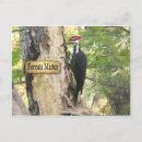 Search for ecological postcards Forests