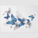 Search for moth tissue paper Butterfly