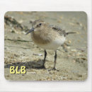 Search for ornithology mouse mats Bird watching