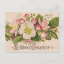 Search for apple blossoms postcards Pink