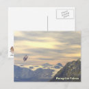 Search for peregrination postcards Nature