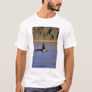 Search for killer whale tshirts Nature