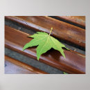 Search for chilly posters Leaf