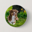 Search for upload badges Pet