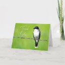 Search for eastern cards Wildlife photography