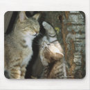Search for two sided electronics Wildlife