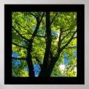Search for 24x24 posters Nature