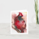 Search for winter cardinal cards Bird