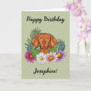 Search for hungarian cards Colourful