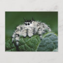 Search for medium format postcards Adnt