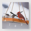Search for feeders art Cardinal