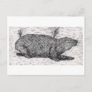Search for moles postcards Animal