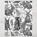 Search for bunny craft supplies Hare