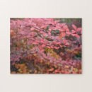 Search for fall foliage puzzles Nature photography