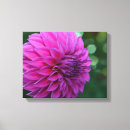 Search for dahlia canvas prints Purple