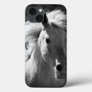 Search for white horse cases Western