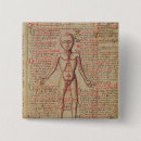 Search for anatomy square badges Medicine