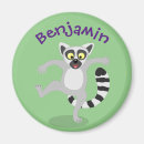 Search for tail magnets Primate