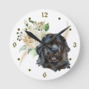 Search for newfoundland clocks Animal