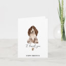 Search for cocker spaniel birthday cards Pets
