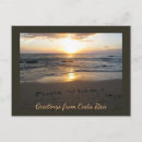 Search for vida postcards Sunset