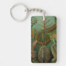Search for worm key rings Illustration