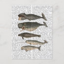 Search for five postcards Steampunk