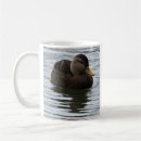 Search for mallard ducks mugs Animals