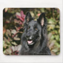 Search for black haired mouse mats Dog
