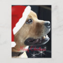 Search for staff christmas cards Dog