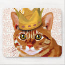 Search for ginger cat electronics Flowers