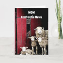 Search for home group cards Funny