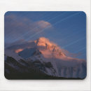 Search for tibet mouse mats China