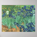 Search for iris painting posters Flowers
