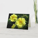 Search for yellow rose cards Blossom